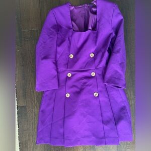 Zara Vibrant Purple Dress